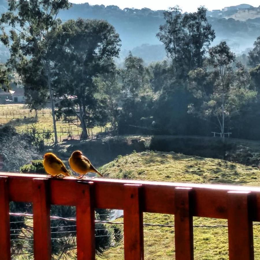 E Pe Na Trilha Campsite