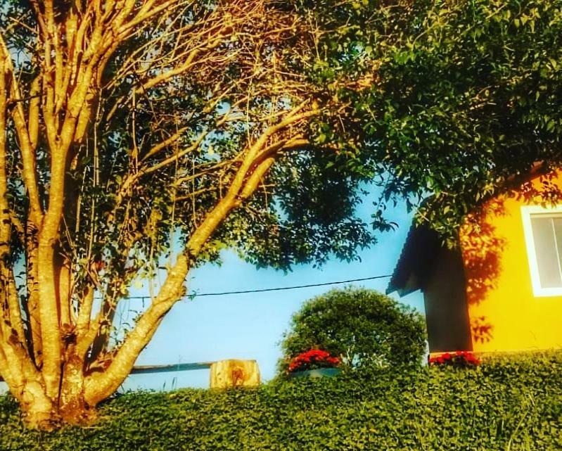 Campsite E Pe Na Trilha